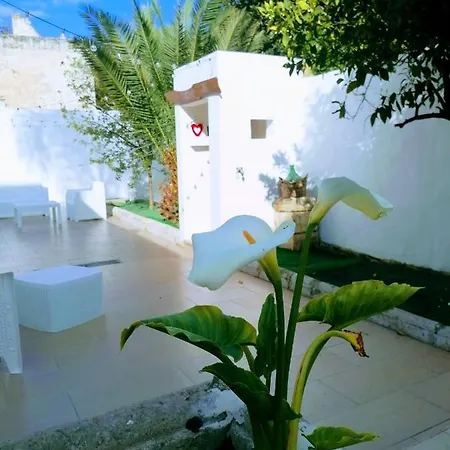 Le Tre Rose Di Roberta Bed & Breakfast