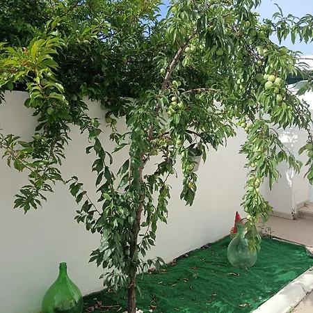 Le Tre Rose Di Roberta Bed & Breakfast