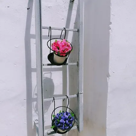 Le Tre Rose Di Roberta 3*