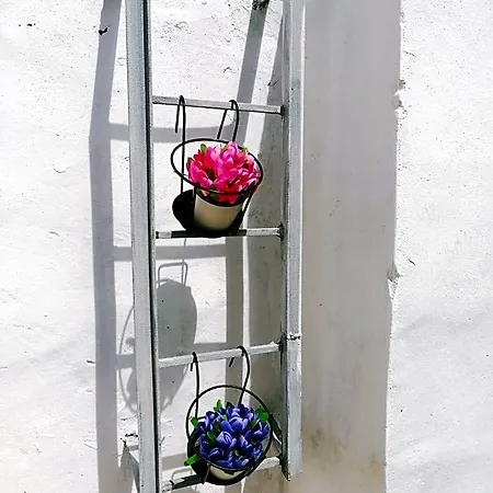 Bed & Breakfast Le Tre Rose Di Roberta 3*